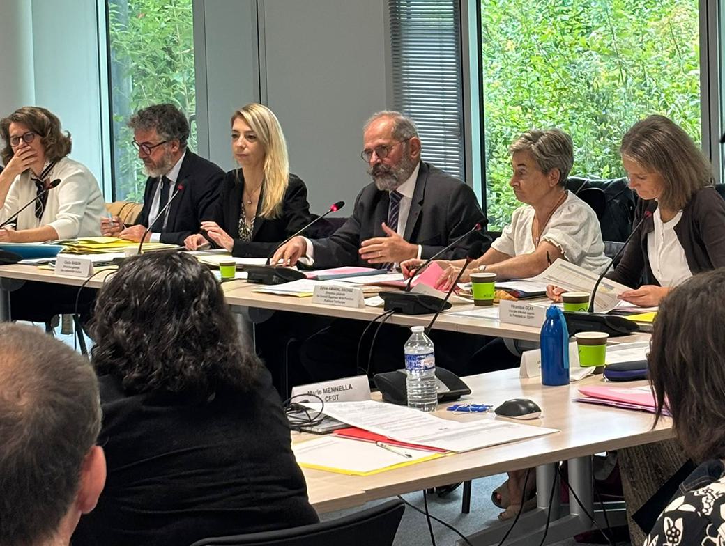 assemblée plénière du Conseil supérieur de la fonction publique territoriale