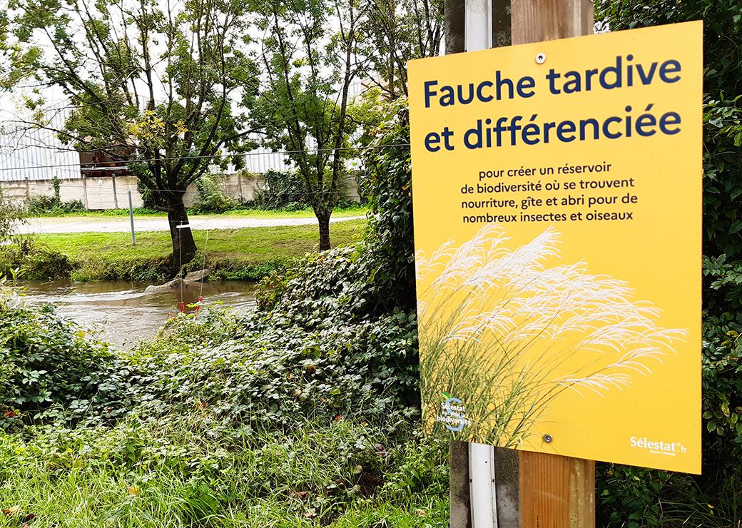 pannneau fauche tardive et différenciée 