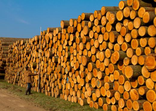 ensemble de bois
