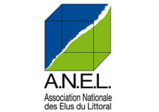 Logo ANEL