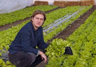 Jeune agriculteur bio de la couveuse sous une serre de salades