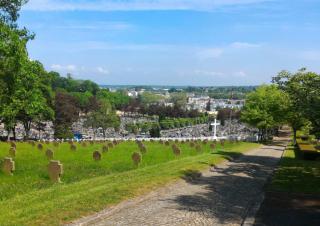 pesticide dans la gestion espaces extérieurs  Cimetière de Gonars à Versailles
