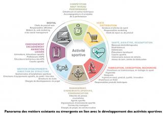 Rapport de France Stratégie/Cereq métiers du sport 