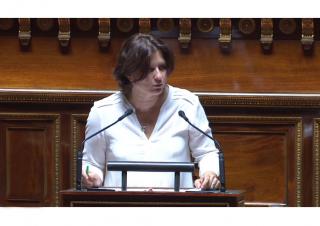 Projet de loi Jeux Olympiques et Paralympiques de 2024 le 2 juillet au Sénat, agence nationale du sport 