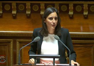 brune poirson