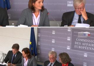 Rapport d’information de Mme Liliana Tanguy et M. Didier Quentin sur l’évaluation de la gestion des fonds structurels européens par les régions françaises