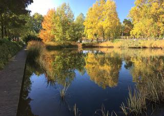 Pacte pour le jardin 2019 / 112 participants dont la ville de Nancy 