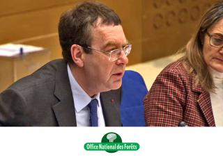 Bertrand Munch désigné nouveau président de l'Office national des forêts décembre 2019