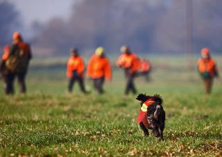 Chasseurs