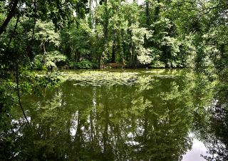  L'espace naturel départemental (EDEN62) de Feuchy