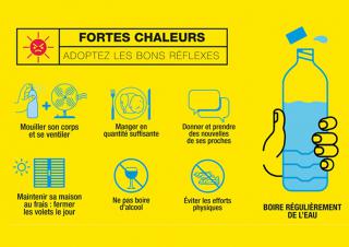 canicule