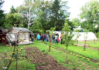 Plan très large d'un groupe de personnes au milieu d'un jardin potager. 
