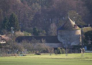Vue plongeante sur un château médiéval entouré d'une foret en hiver