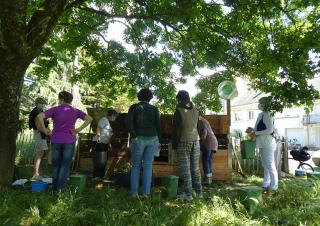 Sous les branches d'un arbre aux feuilles très vertes, des personnes se tiennent devant de gros bacs de bois. Certaines tiennent un seau vert à la main, d'autres l'ont à leurs pieds