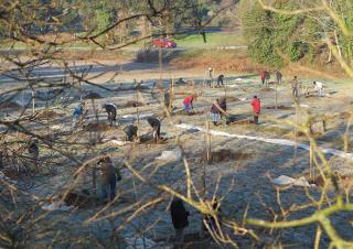 Dans un champs, une dizaine de personnes s'affairent avec des pelles autour de trous et de tas de terre