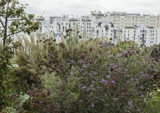  Logement dans les Territoires fragiles