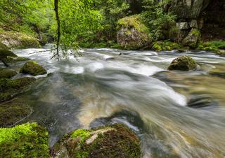 Plan rapproché d'un cours d'eau qui serpente entre des rochers moussus