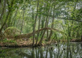 Une rivière bordée d'arbres et de verdure. Une installation de bois, telle une araignée, plonge l'un de ses bras dans la rivière