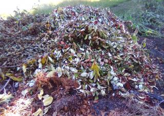 En plein air, un tas de petites branches mortes
