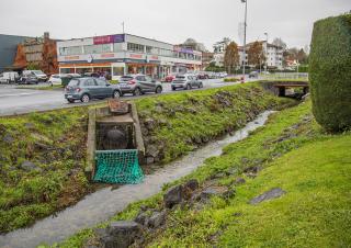 En contrebas d'une route, un ruisseau danss lequel vient se jeter une grosse canalisation équipée d'un filet vert