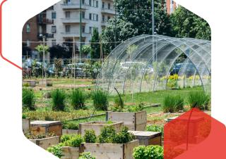 Programme Démonstrateurs villes durables