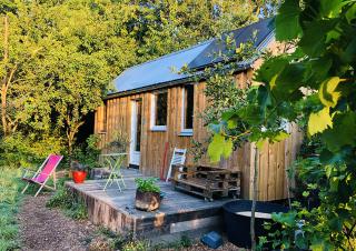 Une petite maison de bois lovée parmi des arbustes.