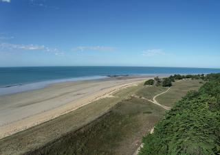 Vue aérienne de la mer, la plage et les dunes où la végétation commence à s'implanter