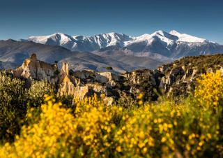 Au premier plan des fleurs jaunes, au milieu, des rochers escarpés et en arrière plan, des cimes enneigées