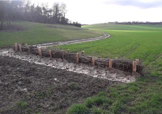 En travers d'un champs, sur une colline, une haie protégée par un amas de rameaux de bois