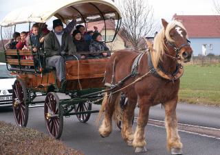 Un cheval de trait tire une calèche sur laquelle on compte une dizaine d'enfants. La calèche est suivie par une voiture blanche