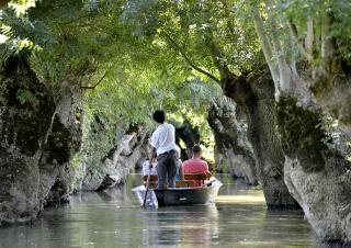 Sur un cours d'eau ombragé par de la végétation, une barque navigue, guidée par un homme aidé d'une perche