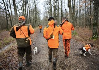 chasseurs