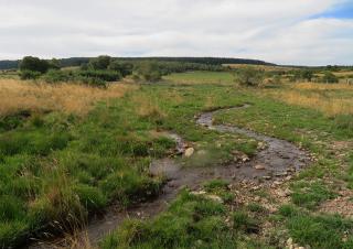 Au milieu des champs, un ruisseau serpente