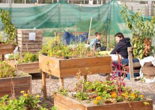 Deux enfants s'affairent au pied de plantations dans un jardin composé de carrés cultivés en hauteur