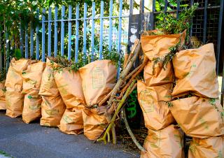 déchets verts 