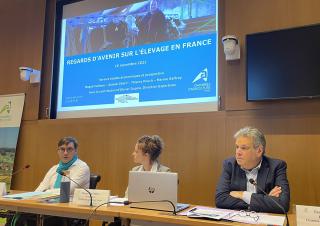 l'élevage en France