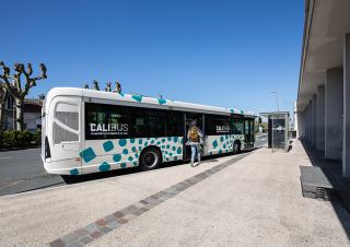 Une personne s'apprête à monter dans un autocar siglé "Calibus"