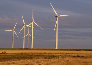 éoliennes terrestres 