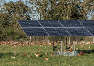 panneaux solaires ferme