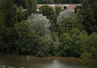 Adaptation au changement climatique