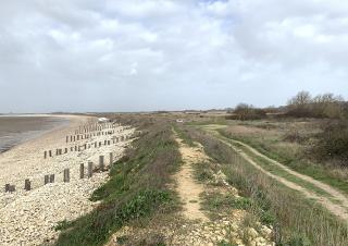 La plage et sa dune enherbée