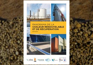 chaleur renouvelable