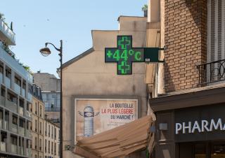canicule 