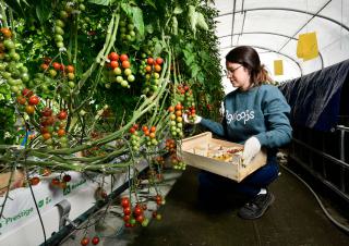Accélérer la transition alimentaire