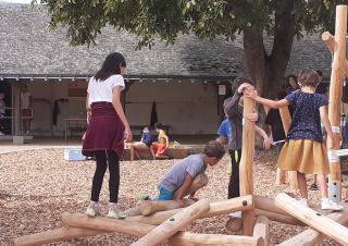 Des enfants jouent sur un module de bois, sous un arbre. Au sol, des copeaux de bois.