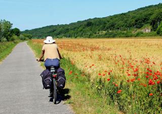 cyclotouriste