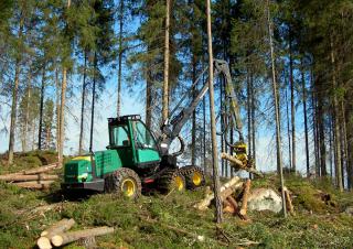 foret 