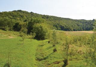 Paysage vert, avec un boisement au loin et un fossé au centre