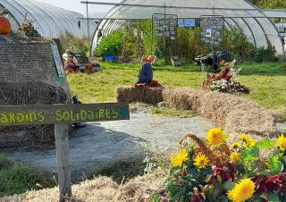 Des bottes de paille, des serres et un panneau "jardins solidaires"