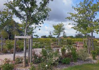 Espace végétalisé, avec une allée, des buissons et quelques jeunes arbres